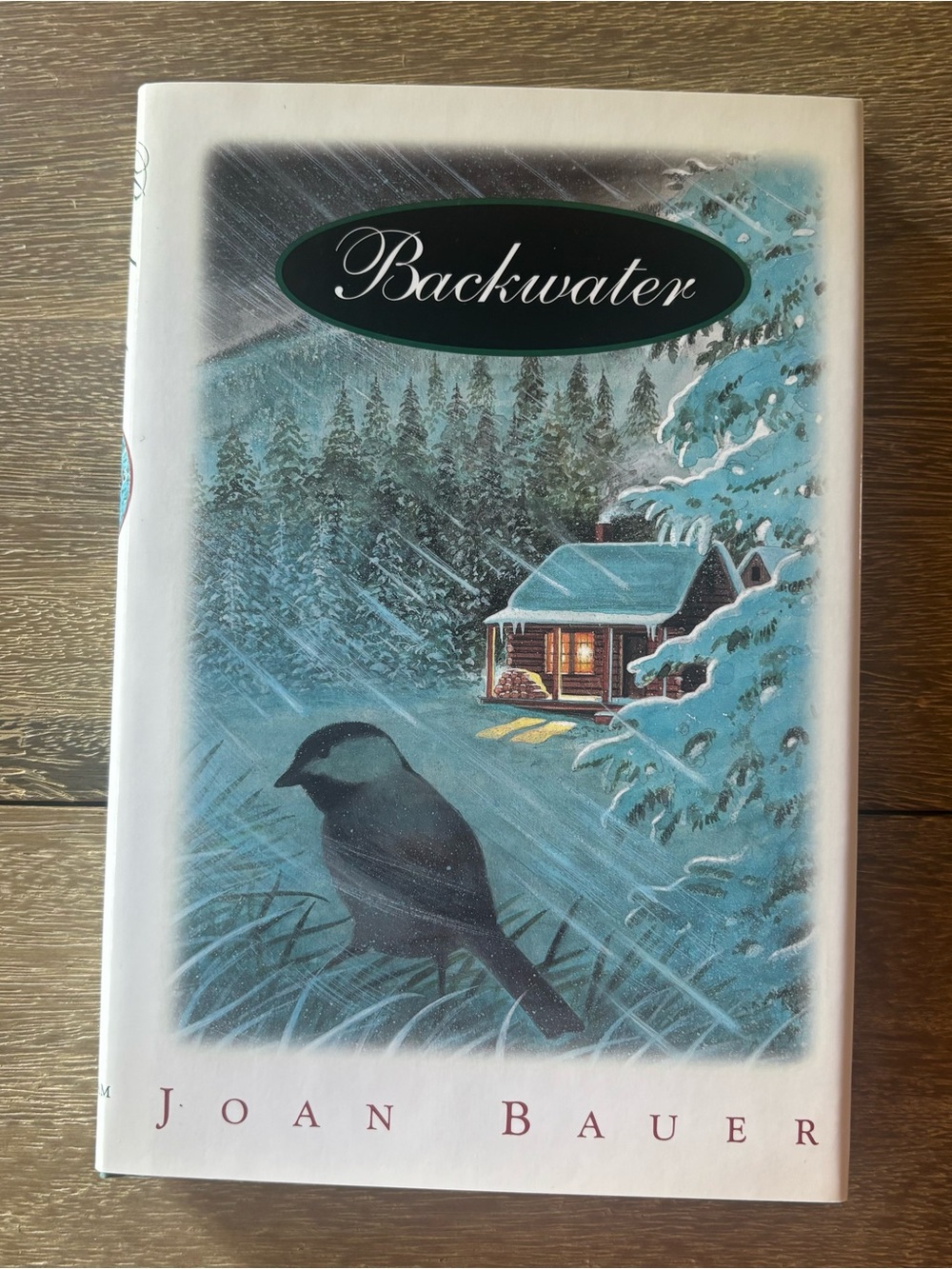 Joan Bauer Backwater Hardcover Novel Putnam English YA Fiction